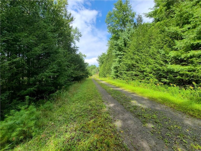 LOT23 Deer Meadow Rd, Bethel, NY 12720 - photo 30