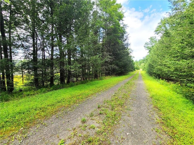 LOT23 Deer Meadow Rd, Bethel, NY 12720 - photo 31