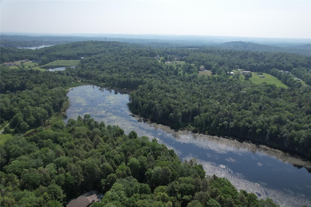 LOT23 Deer Meadow Rd, Bethel, NY 12720 - photo 35