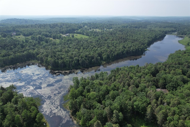 LOT23 Deer Meadow Rd, Bethel, NY 12720 - photo 36