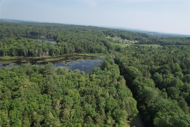 LOT23 Deer Meadow Rd, Bethel, NY 12720 - photo 14