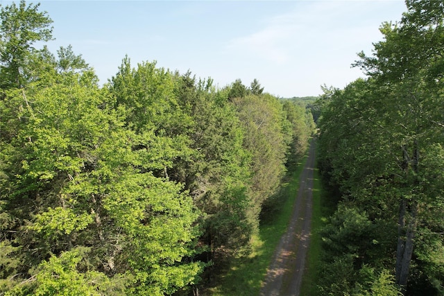 LOT23 Deer Meadow Rd, Bethel, NY 12720 - photo 37
