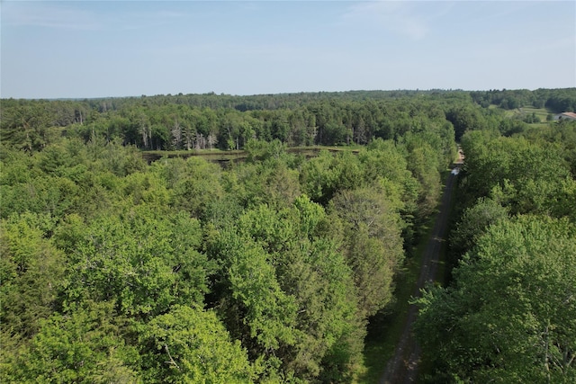 LOT23 Deer Meadow Rd, Bethel, NY 12720 - photo 38