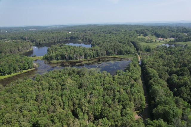 LOT23 Deer Meadow Rd, Bethel, NY 12720 - photo 12