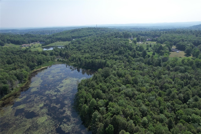 LOT23 Deer Meadow Rd, Bethel, NY 12720 - photo 39