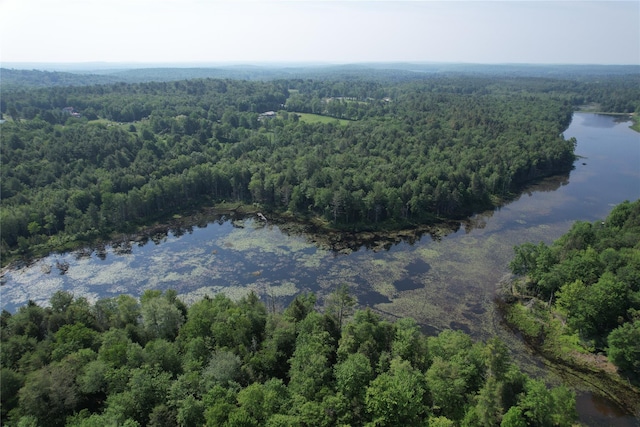 LOT23 Deer Meadow Rd, Bethel, NY 12720 - photo 40