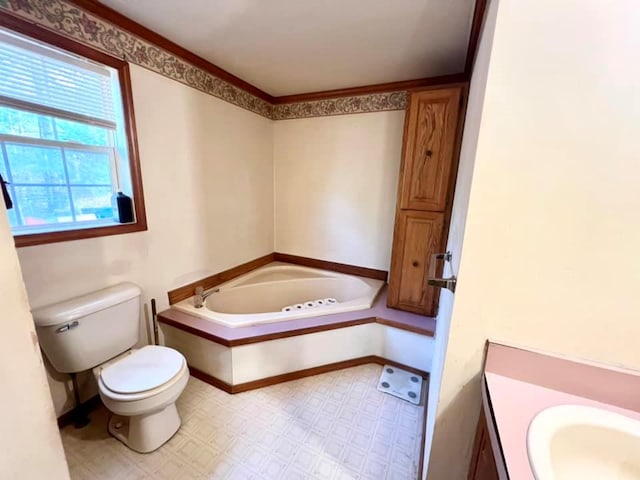 bathroom featuring vanity, toilet, and a tub