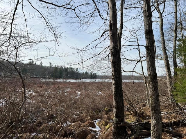 view of local wilderness