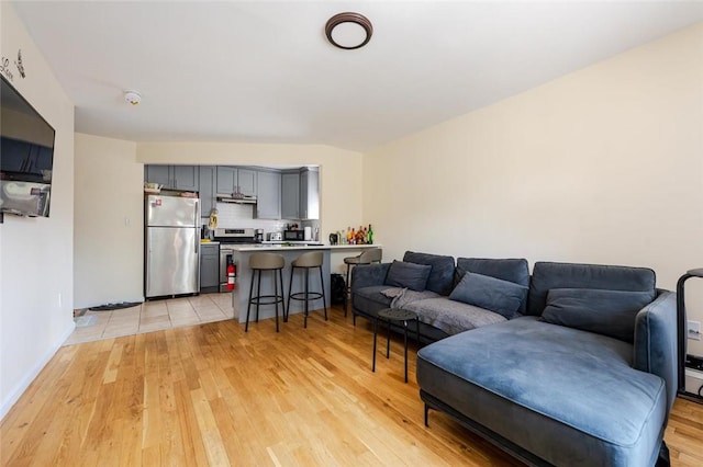 living room with light hardwood / wood-style flooring