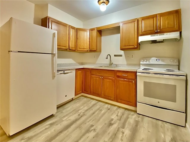 kitchen featuring sink, white appliances, and light hardwood / wood-style flooring