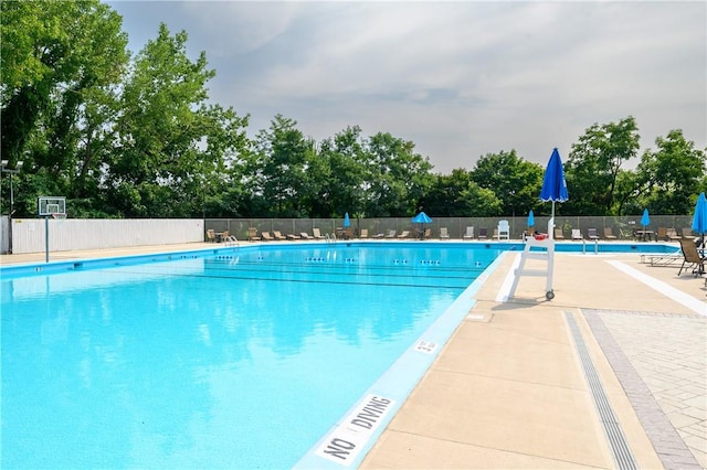 view of swimming pool