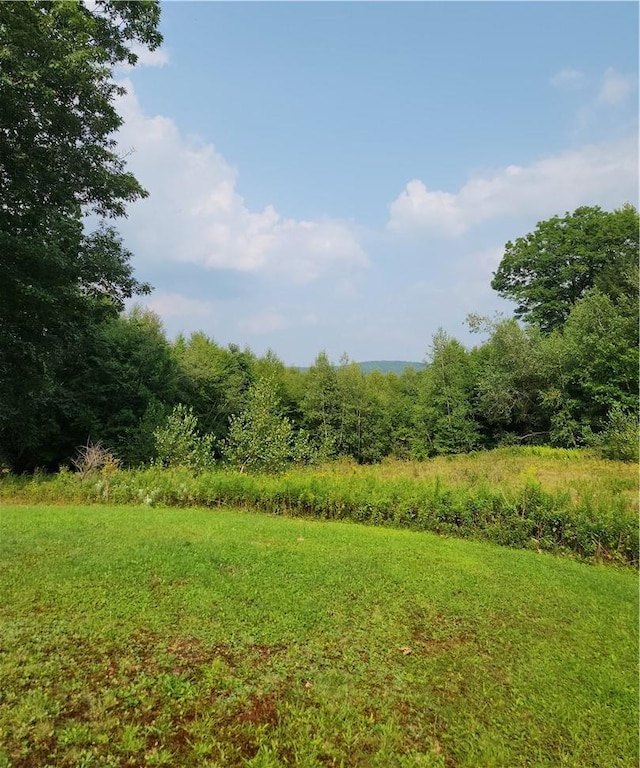 view of local wilderness