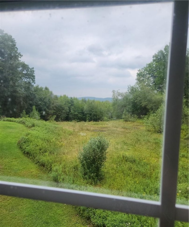 view of local wilderness