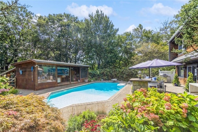 view of swimming pool with an outdoor kitchen, a diving board, a patio area, and a sunroom