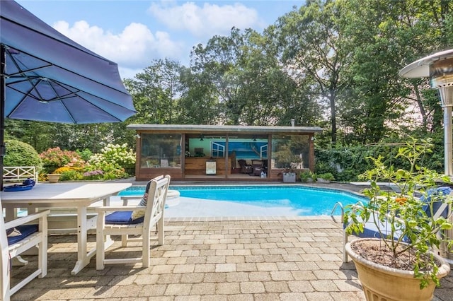 view of pool featuring a patio