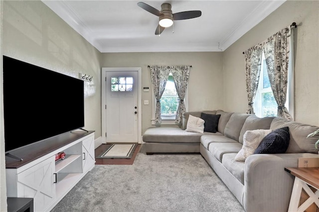 carpeted living room with ceiling fan and ornamental molding