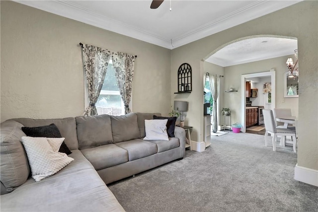 living room featuring carpet floors, ceiling fan, and ornamental molding