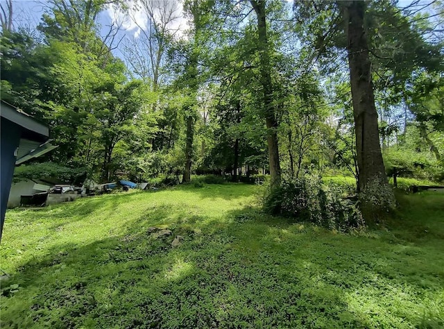 1131 County Route 31, Glen Spey, NY 12737 - view of green lawn