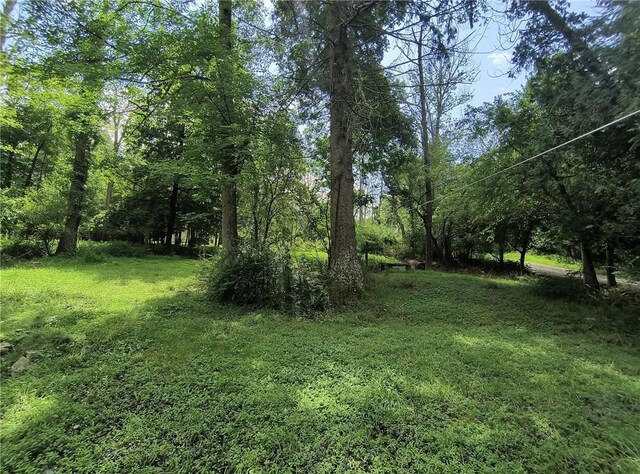 1131 County Route 31, Glen Spey, NY 12737 - view of yard