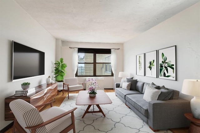 living room featuring light hardwood / wood-style floors