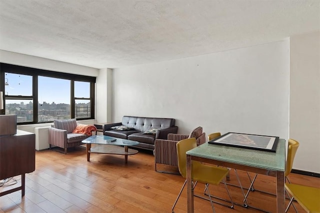 living room with a textured ceiling and light hardwood / wood-style flooring