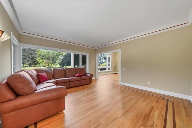 living room featuring light hardwood / wood-style flooring and ornamental molding