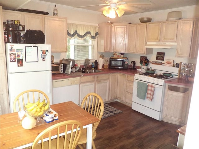 kitchen with light brown cabinets, white appliances, dark wood-type flooring, crown molding, and sink