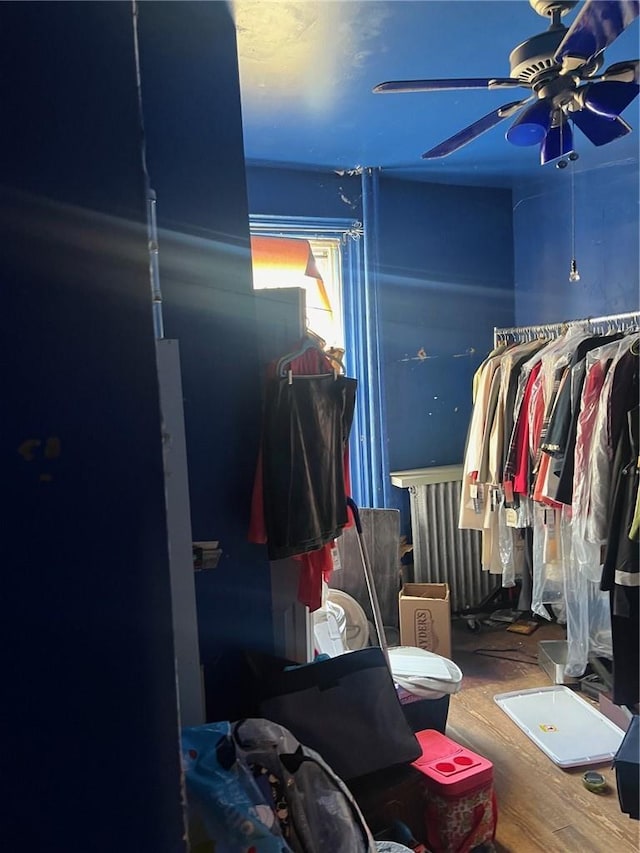 spacious closet featuring radiator, ceiling fan, and hardwood / wood-style flooring