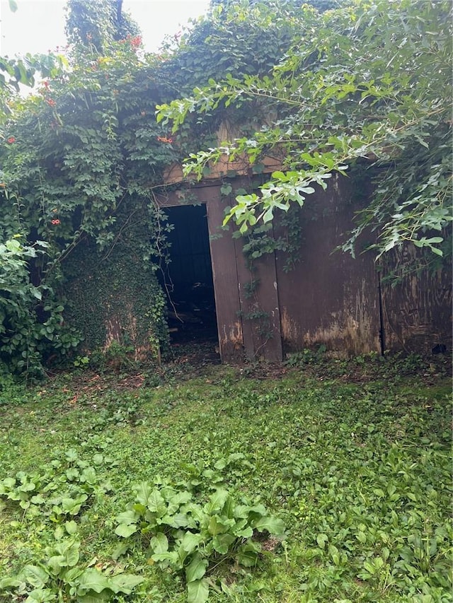 view of yard with a shed