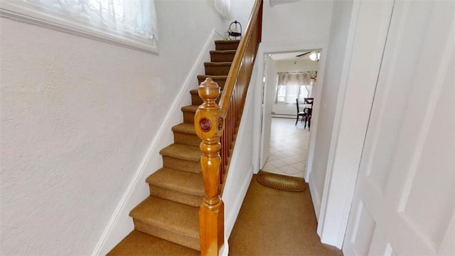 staircase with carpet and ceiling fan