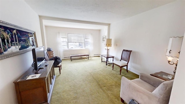 living area featuring carpet floors