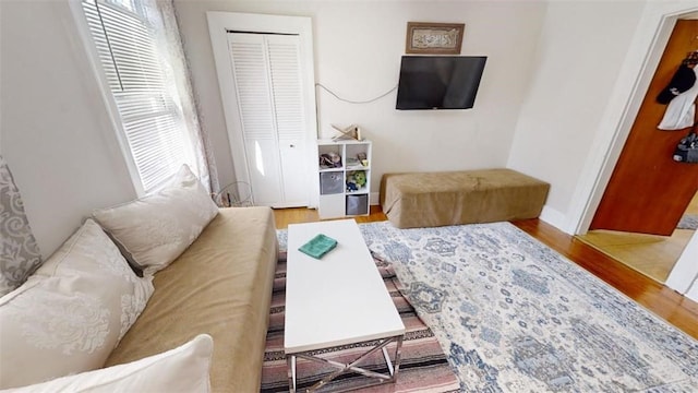 living room with hardwood / wood-style flooring