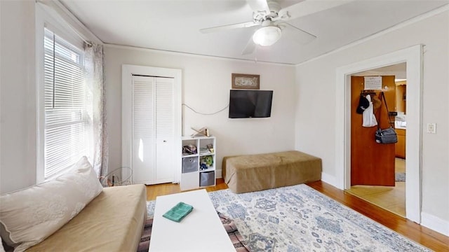 living room with ceiling fan, light hardwood / wood-style floors, and ornamental molding