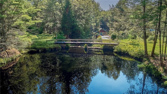 432 Black Forest Rd, Glen Spey, NY 12737 - water view featuring a heavily wooded area