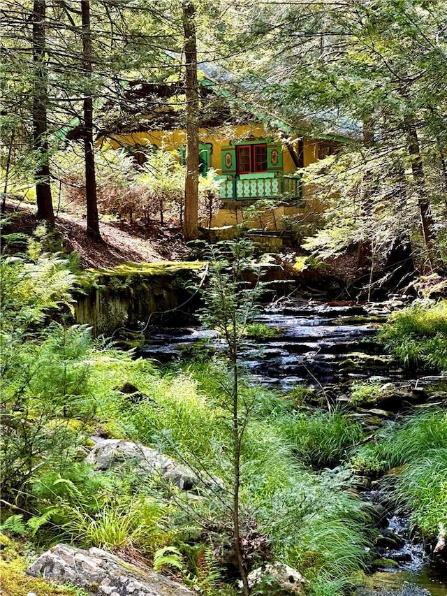 view of local wilderness with a water view