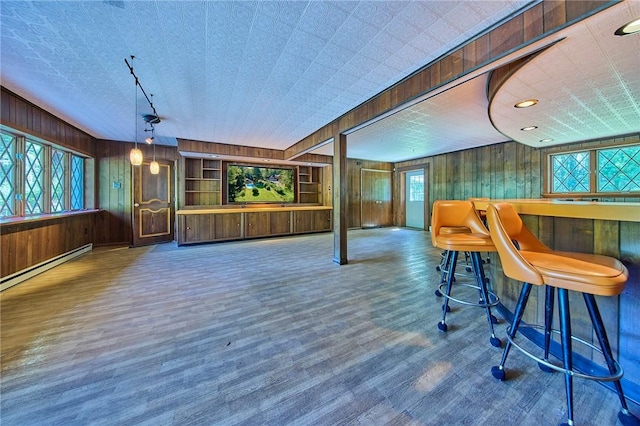 interior space featuring a baseboard heating unit, dark hardwood / wood-style floors, and wooden walls