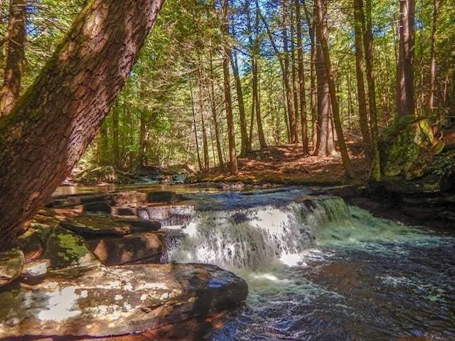 432 Black Forest Rd, Glen Spey, NY 12737 - water view with a heavily wooded area