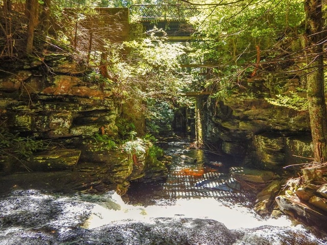 432 Black Forest Rd, Glen Spey, NY 12737 - view of yard