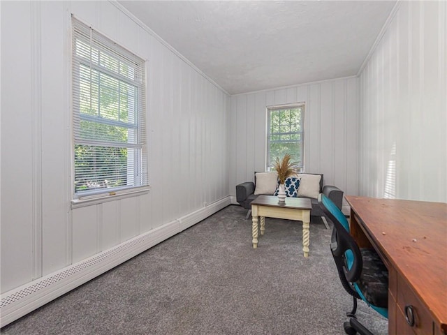 carpeted office featuring a baseboard radiator and ornamental molding