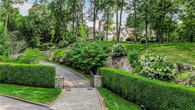 view of property's community featuring a lawn