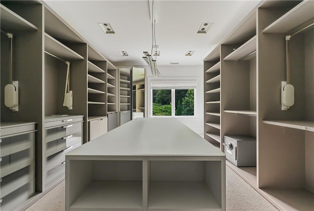 spacious closet featuring light colored carpet