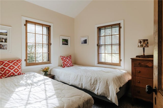 bedroom featuring vaulted ceiling