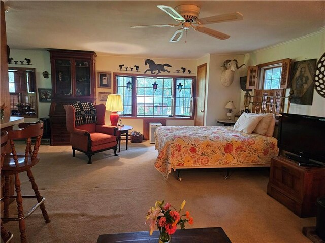 527 Crawson Rd, Long Eddy, NY 12760 - photo 20