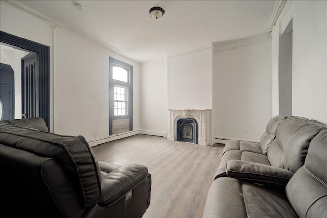 living room featuring wood-type flooring and crown molding