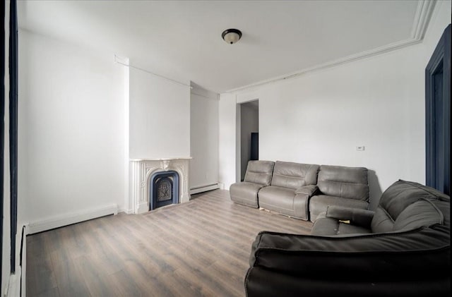 living room featuring hardwood / wood-style floors, ornamental molding, and a baseboard radiator