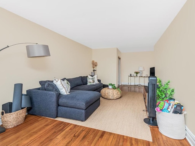 living room featuring hardwood / wood-style flooring