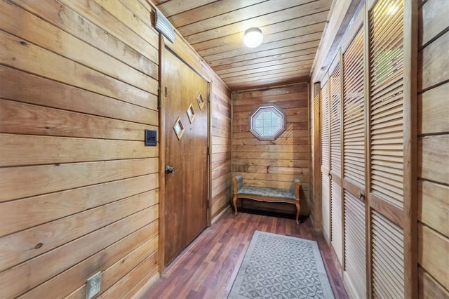 entryway with wooden walls, dark hardwood / wood-style flooring, and wood ceiling