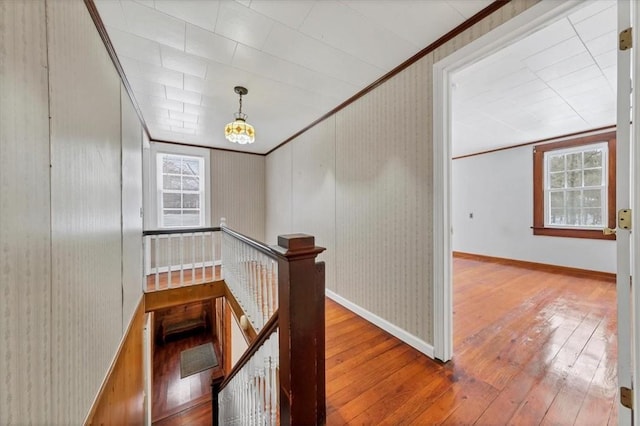 hall with hardwood / wood-style flooring, wooden walls, crown molding, and a wealth of natural light