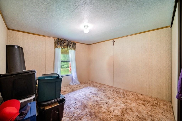 carpeted office space with a textured ceiling