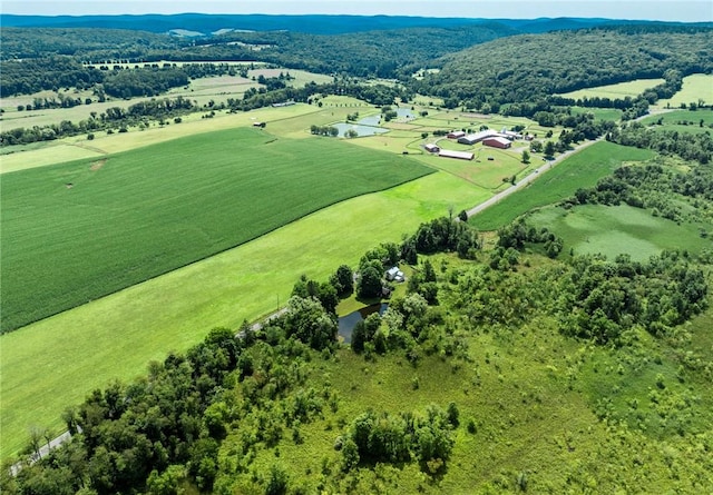 birds eye view of property featuring a rural view